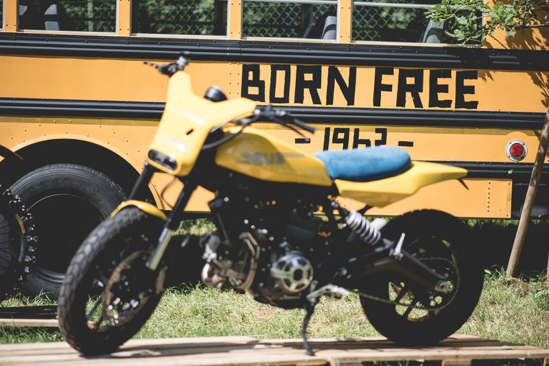 Special gialla davanti allo school bus Born Free